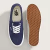 Skate Authentic Schuh
